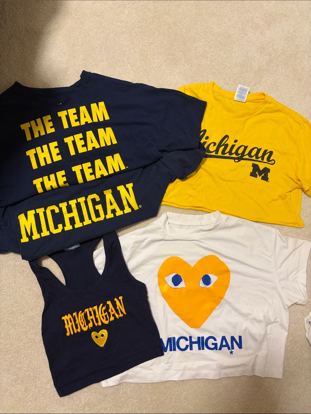 University of Michigan tailgate bundle